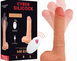 img_97076_91f407a7398659af4d86669ec6bfd4b1_1