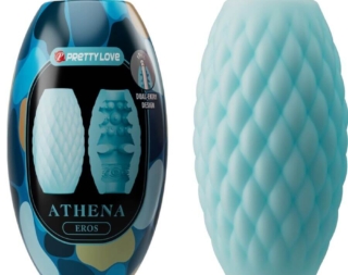 img_201281_91316711222b39e52c4777c277a5c0ca_1