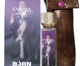 img_203932_64a1d5219b503267b5fbac4342acc51d_1