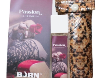 img_203937_04fe105ab535770b2aded244f24a3715_1