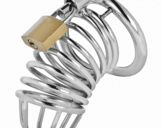 img_207116_8600f9459bfc57a09f5cd8bb1784e82f_1[1]