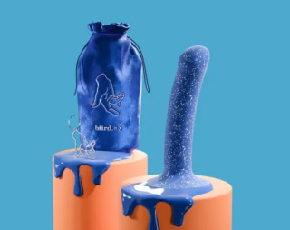 Biird_Bae-Content_600x