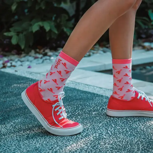 BIIRD - CLIIT SOCKS 1 BIIRD - CLIIT SOCKS